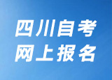 网上报名