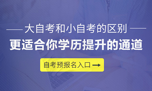大自考小自考的区别