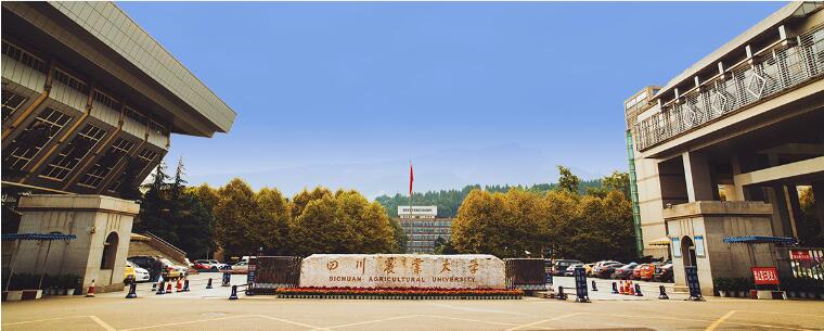 四川农业大学继续教育学院简介